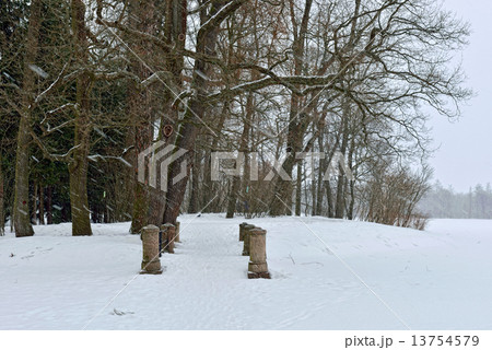 Winter snowy  landscape in garden Pushkin, 13754579