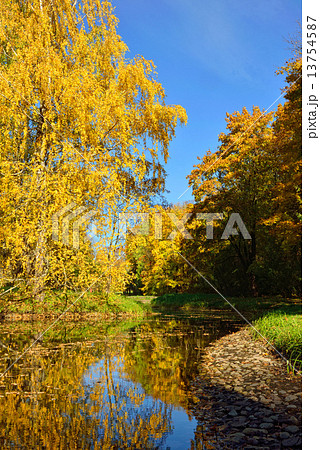 Autumn landscape with pond in Pushkin, 13754587