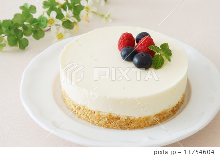 レアチーズケーキ 13754604