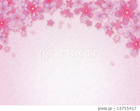 桜吹雪 桜吹雪 13755417