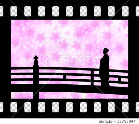 桜と舞妓　SAKURA and MAIKO(Spring of Japan) 13755844