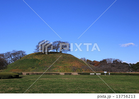 埼玉県行田市の風景 13756213