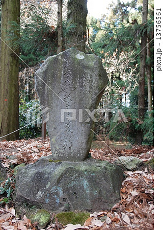 芭蕉句碑「夏草や 兵どもが 夢の跡」（御前曲輪･箕輪城跡／群馬県高崎市箕郷町） 13756561