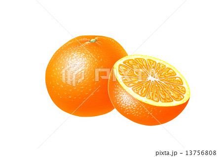オレンジ 水彩画のイラスト素材