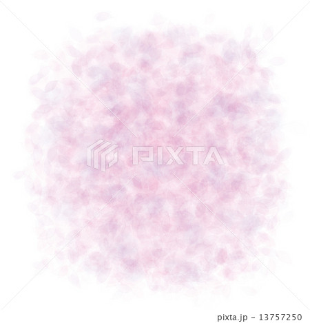 花びら模様 花びら模様 13757250