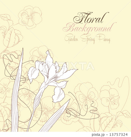 Floral Background with one iris 13757324