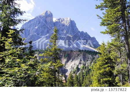 プティア山　monte　putia　　　sass　putia 13757822