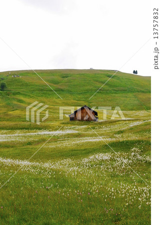 アルぺ・ディ・シウージ alpe di siusi  ザイザー・アルム seiser alm アルぺ・ディ・シウージ alpe di siusi  ザイザー・アルム seiser alm 13757832