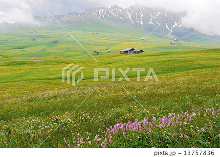 アルぺ・ディ・シウージ alpe di siusi ザイザー・アルム seiser alm アルぺ・ディ・シウージ alpe di siusi ザイザー・アルム seiser alm 13757836