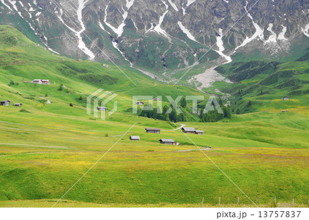 アルぺ・ディ・シウージ alpe di siusi  ザイザー・アルム seiser alm アルぺ・ディ・シウージ alpe di siusi  ザイザー・アルム seiser alm 13757837