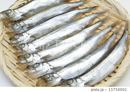 丸干しカラフトシシャモ 13758002