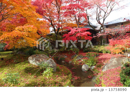 京都　秋の宝厳院 13758090