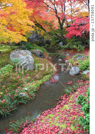 京都　秋の宝厳院 13758091