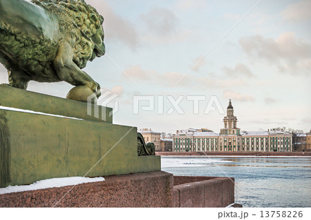 Cabinet of Curiosities in St. Petersburg at dawn in winter. Russ 13758226