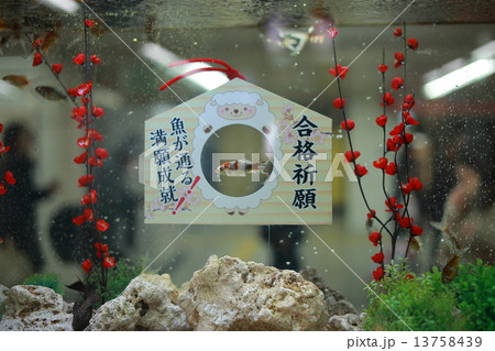 合格祈願 13758439