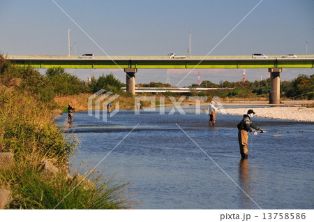 入間川の釣り人 13758586