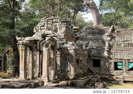 タ・プローム タ・プローム 13759724