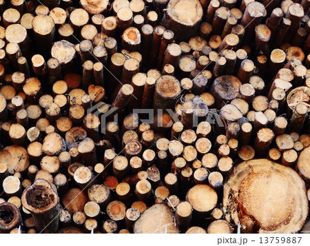 wood logs background wood logs background 13759887