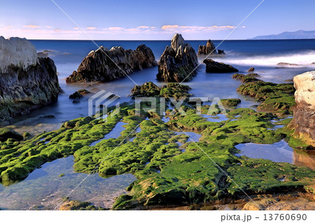 根本海岸屏風岩 13760690