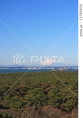 富津公園・中の島展望塔からの景色 富津公園・中の島展望塔からの景色 13760850