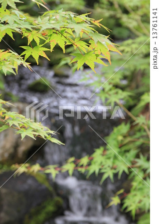 奈良県奈良市にある「依水園」 13761141