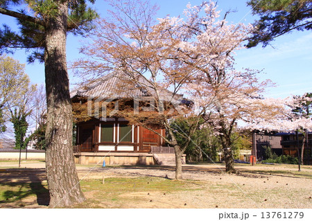 春の興福寺 北円堂(奈良)桜満開 春の興福寺 北円堂(奈良)桜満開 13761279