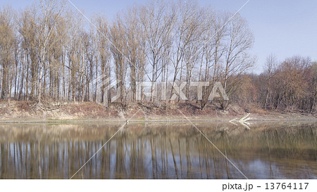 Line of Trees at Backwater 13764117