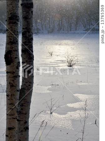 輝く雪原 13765369