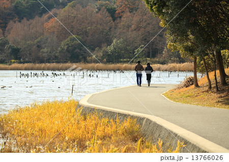 冬のデート 13766026