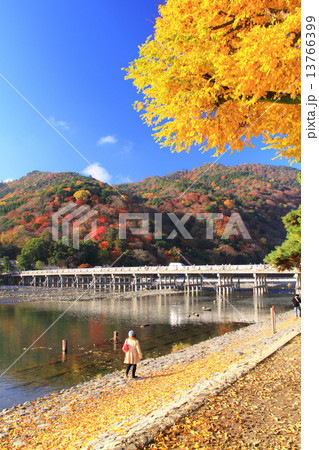 11月京都 嵐山渡月橋と紅葉 13766399