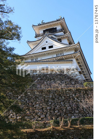 冬の高知城 冬の高知城 13767445
