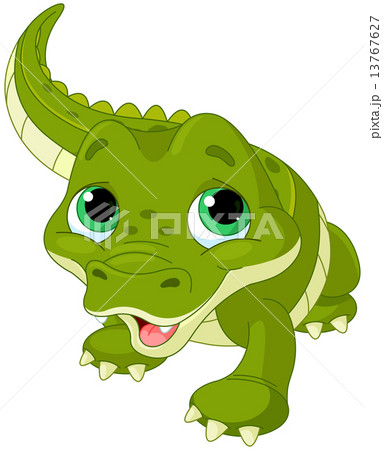 Baby alligator 13767627