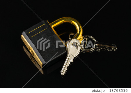 hinged lock hinged lock 13768556