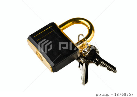 hinged lock hinged lock 13768557