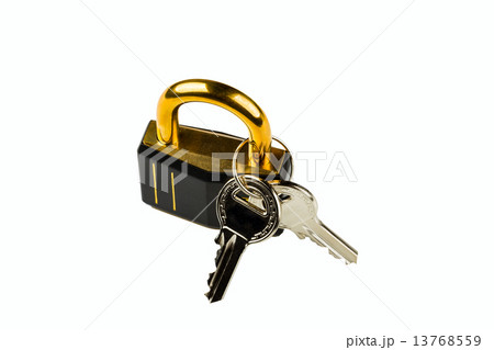 hinged lock 13768559