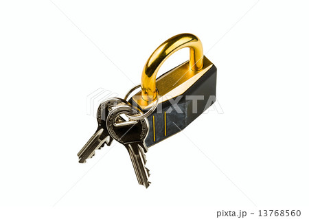 hinged lock hinged lock 13768560