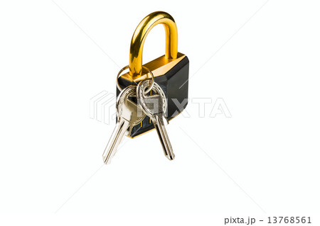 hinged lock hinged lock 13768561