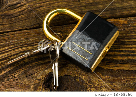hinged lock 13768566
