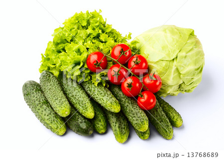 vegetable 13768689