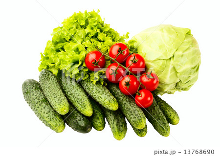 vegetable 13768690