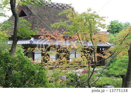 依水園 依水園 13775138