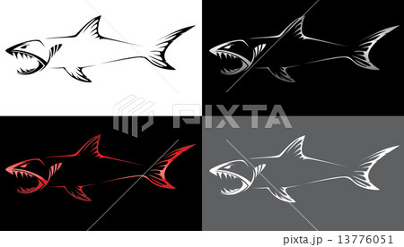 predatory fish skeleton predatory fish skeleton 13776051