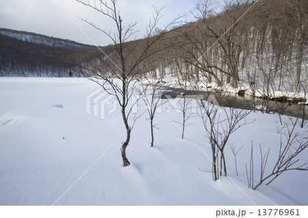 厳冬の蔦沼 13776961