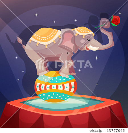 Circus Elephant Poster 13777046