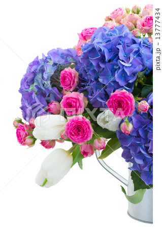 pink roses and blue hortensia flowers close up 13777434
