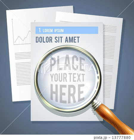 Magnifier Check Report 13777880