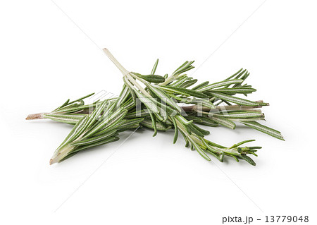 rosemary rosemary 13779048