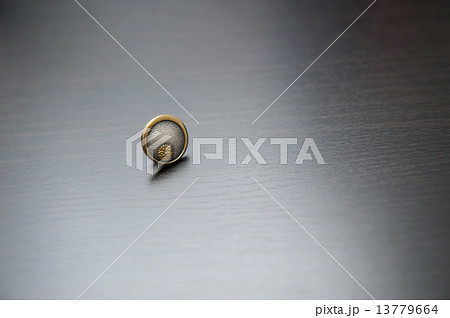 税理士バッジ 税理士バッジ 13779664