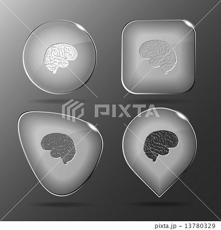 Brain. Glass buttons. Vector illustration. 13780329