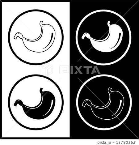 Vector stomach icons Vector stomach icons 13780362